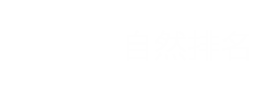 關(guān)鍵詞排名優(yōu)化