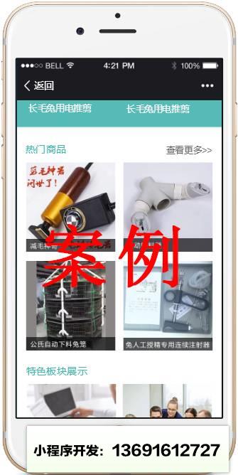 互聯(lián)網(wǎng)+時(shí)代丨開發(fā)微程序小程序截圖